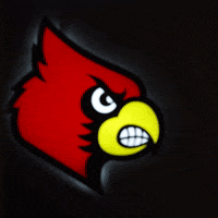 Walk Up University Of Louisville GIF by Louisville Cardinals