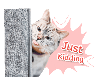 cat jk Sticker