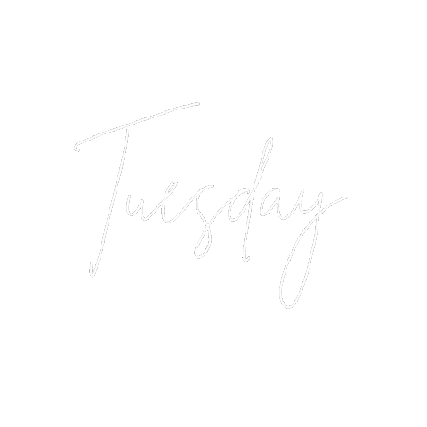 Erasmusalumniclub giphyupload white minimal tuesday Sticker