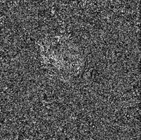 rotten GIF