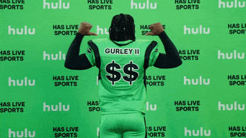 Todd Gurley Cat GIF by HULU