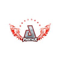 Cheer Wings Sticker by AirbornAllstars