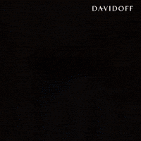Fragrance Charlesmelton GIF by Davidoff Parfums