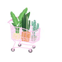 Friends Rose Sticker by Ivo Adventures