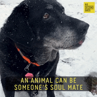 Sad Soul Mate GIF by 60 Second Docs