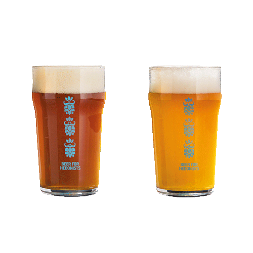 Pale Ale Beer Sticker by Varionica Craft Brewery