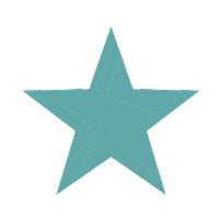 Star Sticker by DEICHBRAND Festival 