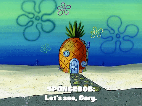 season 3 GIF by SpongeBob SquarePants