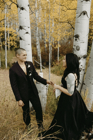 mckenziebigliazzi giphyupload GIF