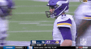 Minnesota Vikings Football GIF by NFL