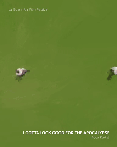 I GOTTA LOOK GOOD FOR THE APOCALYPSE