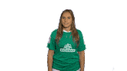 Sticker Emotion Sticker by SV Werder Bremen