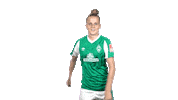 Hausicke Sticker by SV Werder Bremen