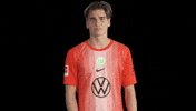 Bundesliga No GIF by VfL Wolfsburg