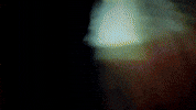 Impact GIF by Nettspend