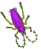 eatrotten bug cockroach roach eatrotten Sticker