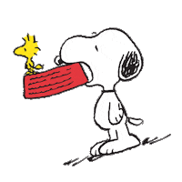 Best Friends Peanuts Sticker by Harveys Seatbelt Bag