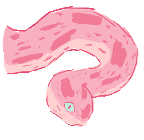 Pink Pastel Sticker by Molli Maura