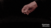 Twin Peaks Ring GIF by Twin Peaks on Showtime