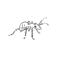 BiosfarVanerskargarden insect ant unesco myra Sticker