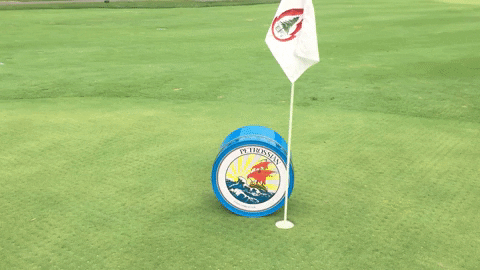 petrossian giphygifmaker summer golf golfing GIF