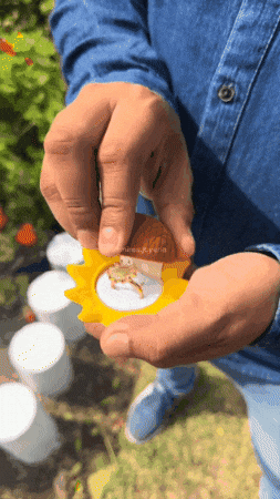 jrojasmo giphygifmaker GIF