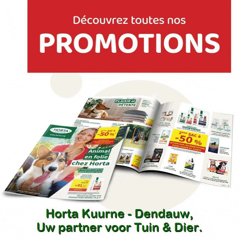 lievendendauw giphygifmaker kortrijk folder horta GIF