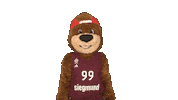 Clap Mascot Sticker by FC Bayern Basketball