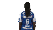 handballbundesligafrauen handball hbf handball bundesliga frauen quist Sticker