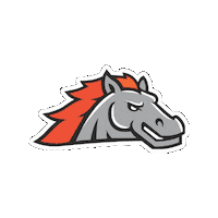 Baseball Cavs Sticker by Ozball