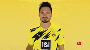Borussia Dortmund Reaction GIF by Bundesliga