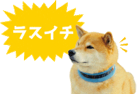Shiba Sticker by marutaro