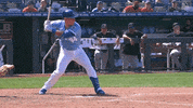 Lets Go Sport GIF by Kansas City Royals