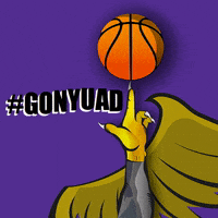 NYUADathletics gonyuad GIF