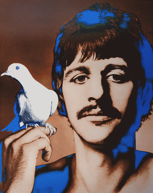 the beatles color GIF