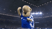 Happy Football GIF by FC Schalke 04