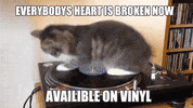 GIF by TEN Music Group
