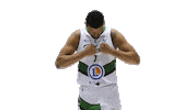 Ada Blois Sticker by ADA Blois Basket 41