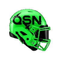 Football Nfl Sticker by QSN