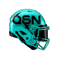Football Nfl Sticker by QSN