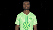 Germany No GIF by VfL Wolfsburg