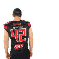 Noflyzone Sticker by Potsdam Royals