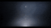 Diversification GIF