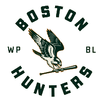 Baseball Team Hawk Sticker by This is Women's Baseball