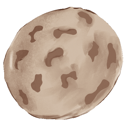 Chocolate Cookie Sticker