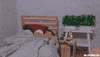 GIF by Mediacorp