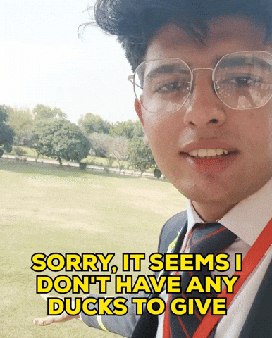 Duck Idc GIF