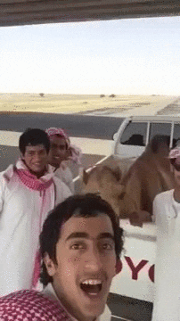 Camel GIF