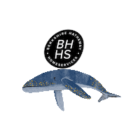 Berkshire Hathaway Realtor Sticker by BHHSfoxroachsocietyhill