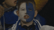 Football Soccer GIF by FC Schalke 04